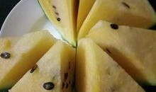 吃瓜专属论坛,网络热议背后的真相与趣味