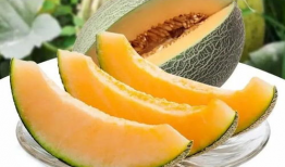 瓜州吃瓜特产好吗,吃瓜特产，品味非凡风味