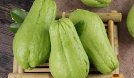 吃佛手瓜嘴巴疼,却让嘴巴疼痛不已之谜揭晓