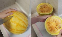 全国吃瓜爆笑视频,笑料百出，欢乐无限