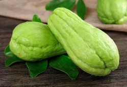 泊头师范吃瓜,一场吃瓜盛宴背后的校园风云