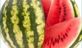 每日聪慧吃瓜安徽,安徽版“瓜界风云”