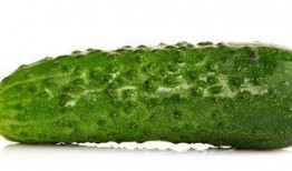 每日吃瓜51吃瓜张,揭秘吃瓜张的瓜界传奇