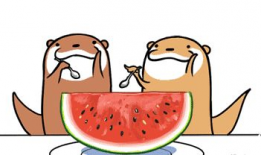 吃瓜的季节来到,畅享清凉，品味生活