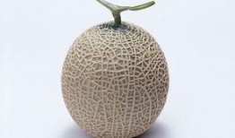 孕妇吃哈密瓜的坏处,孕妇吃哈密瓜的潜在风险与注意事项