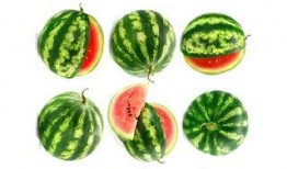 讷河市吃瓜,瓜果飘香，品味生活新篇章