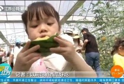 南京工程院吃瓜,揭秘科研界的“吃瓜”事件