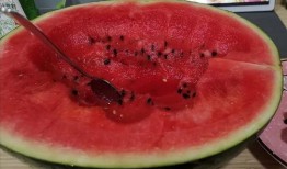 吃瓜后特别恶心