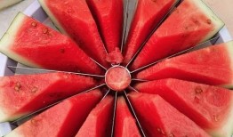 宜陵吃瓜比赛,瓜王争霸，欢乐盛夏！