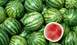 买个瓜吃吧,买瓜吃吧，尽享清凉时光