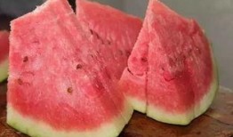 蹦瓜怎么吃,解锁美味新体验