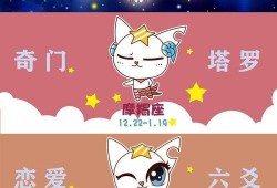 吃瓜大星星,娱乐圈的“瓜王”传奇