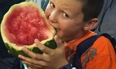 广西一男吃瓜,广西男子意外成为“吃瓜群众”焦点事件追踪