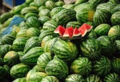 吃鲜瓜胖吗,增肥还是瘦身？揭秘鲜瓜热量真相