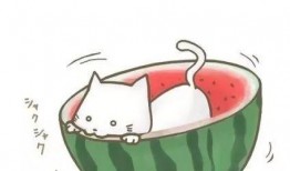 吃瓜的动漫头像,动漫头像中的吃瓜达人