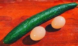 吃瓜的鸡蛋,揭秘美食背后的趣味故事