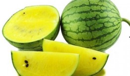 coco比奇小黄吃瓜,一场欢乐的夏日盛宴