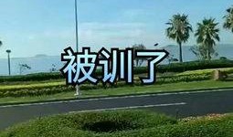 吃瓜导游,吃瓜导游带你领略行业幕后故事