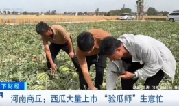 吃瓜的季节来到,畅享清凉，品味生活