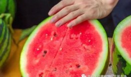 云南大学吃瓜,吃瓜群众的味蕾盛宴