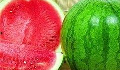 蒲子瓜怎么吃,探索美味与营养的完美结合