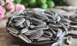 手抓瓜子吃瓜,手抓瓜子，尽享休闲时光