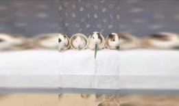 一只仓鼠可以吃四个瓜,绿色食育新风尚