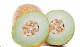 孕妇吃哈密瓜的坏处,孕妇吃哈密瓜的潜在风险与注意事项