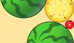 超级吃瓜游戏培训,解锁娱乐新技能，成为游戏达人！