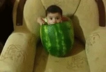 一级吃瓜群众,一级吃瓜群众视角下的娱乐圈风云录