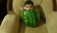 一级吃瓜群众,一级吃瓜群众视角下的娱乐圈风云录