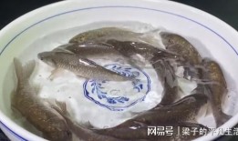 鱼很多在吃瓜,探寻水中美食盛宴