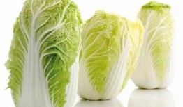 吃瓜唐十八吃瓜大白,揭秘娱乐圈的瓜田秘闻