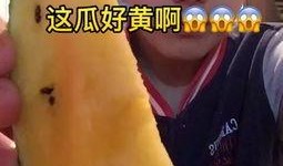 最近热门吃瓜视频大全,笑料百出，精彩纷呈