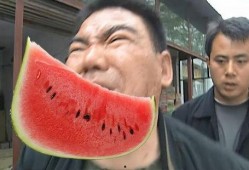 吃瓜的群河南,吃瓜群众的热闹日常