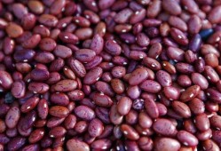 吃蜜罐瓜会长胖吗,揭秘吃瓜长胖的秘密