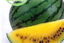 吃瓜速度排行榜,谁是瓜界“吃瓜王”？