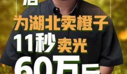 吃瓜直播橙子,揭秘网红美食背后的故事