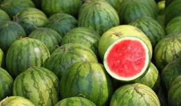 吃吧大口吃吃瓜