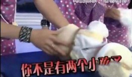 辰亦儒天天吃瓜,瓜田里的美食探索之旅