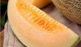 去远方吃瓜,品味独特瓜果之旅