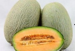 抢吃哈密瓜