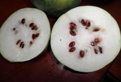 孕期吃喜籽瓜,喜籽瓜的营养功效与食用指南