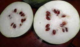 孕期吃喜籽瓜,喜籽瓜的营养功效与食用指南