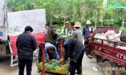 蠡县吃瓜群众事件始末,一场网络舆论的风暴与反思