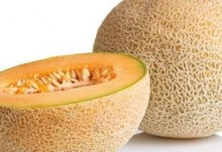 便秘可以吃哈密瓜吗,缓解便秘的天然良方