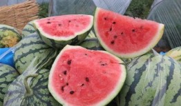 吃瓜解渴了,揭秘娱乐圈幕后故事