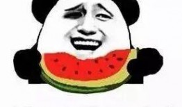 吃瓜群众老爸,吃瓜群众老爸的趣味生活点滴