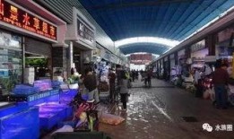 广州记者吃瓜,揭秘幕后故事