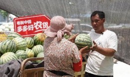 农村笑话吃瓜大赛,吃瓜大赛欢乐多